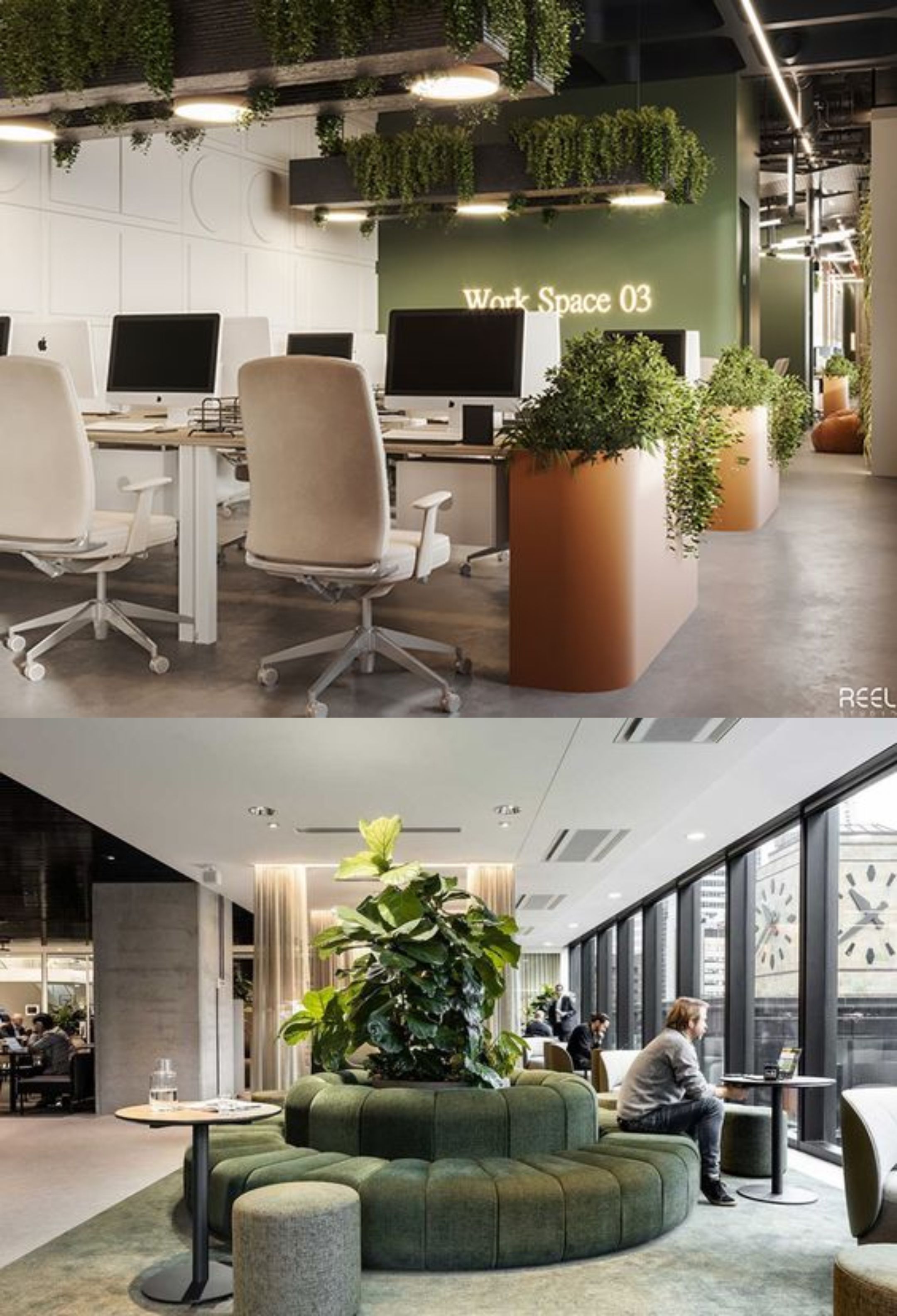 design interior office ( kantor ) office minimalis dengan sentuhan tropis tumbuhan hijau asri 