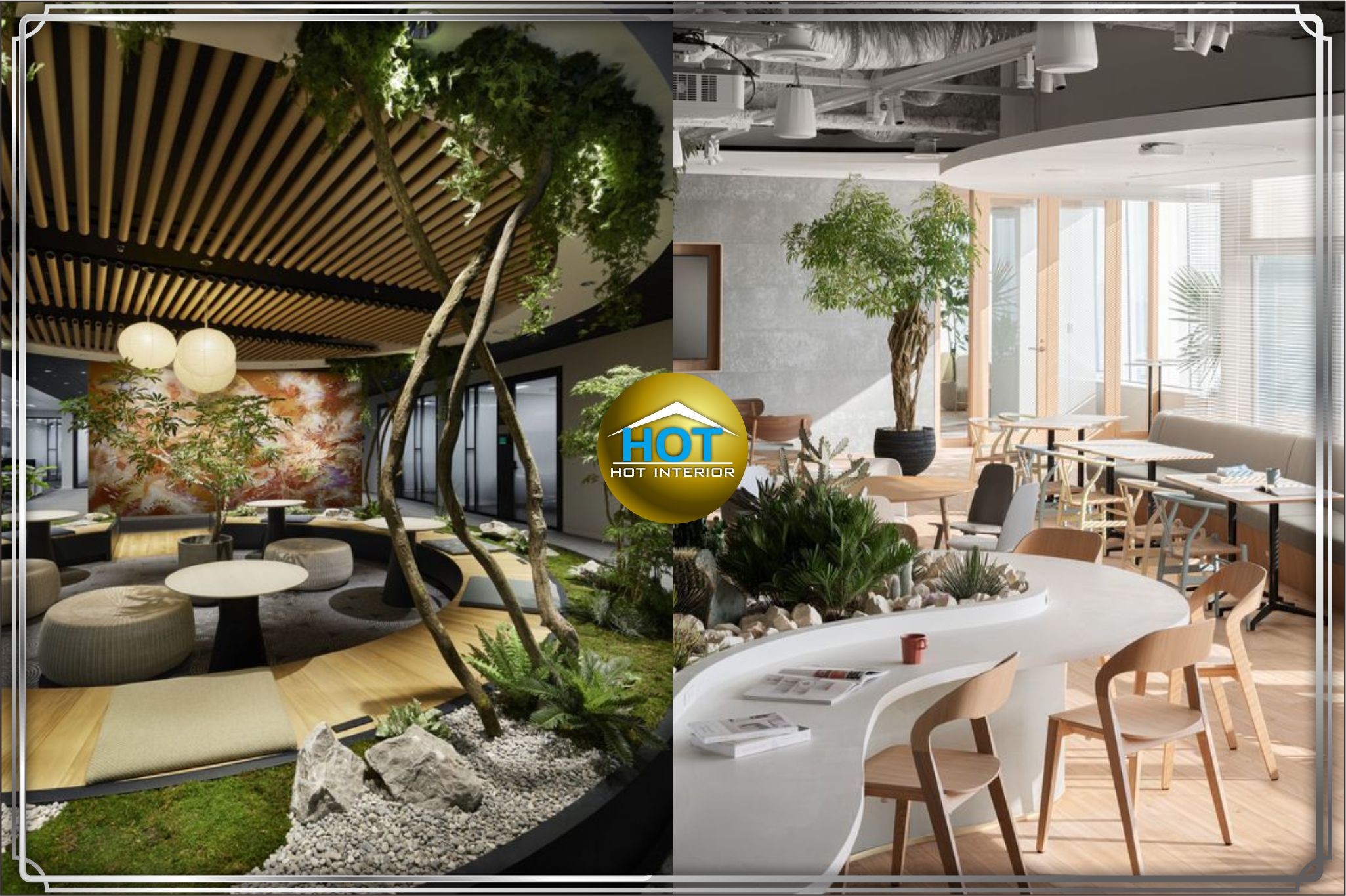 Design interior kantor ( office ) thema warna cool dihiasi dengan sentuhan tumbuhan tropis terbaik di Gambir - Jakarta pusat